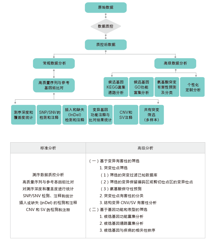 全外显子测序-生信分析流程-K8凯发国际基因 全外显子测序-生信分析流程-K8凯发国际基因