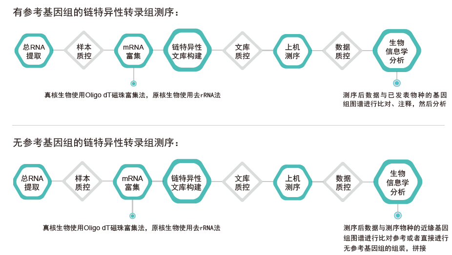 转录组测序-技术路线-K8凯发国际基因 转录组测序-技术路线-K8凯发国际基因