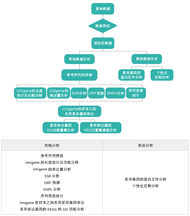 转录组测序-生信分析流程(无参)-K8凯发国际基因 转录组测序-生信分析流程(无参)-K8凯发国际基因