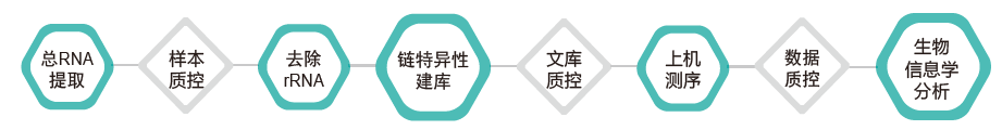长链非编码RNA(lncRNA)测序-技术路线-K8凯发国际基因 长链非编码RNA(lncRNA)测序-技术路线-K8凯发国际基因