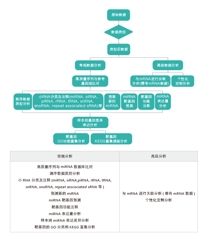 小RNA(small RNA)测序-生信分析流程-K8凯发国际基因 小RNA(small RNA)测序-生信分析流程-K8凯发国际基因