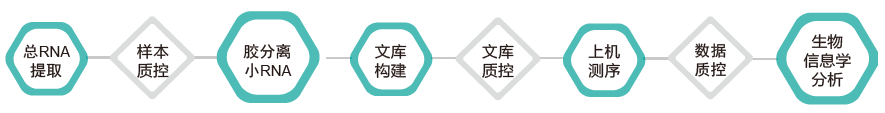 小RNA(small RNA)测序-技术路线-K8凯发国际基因 小RNA(small RNA)测序-技术路线-K8凯发国际基因
