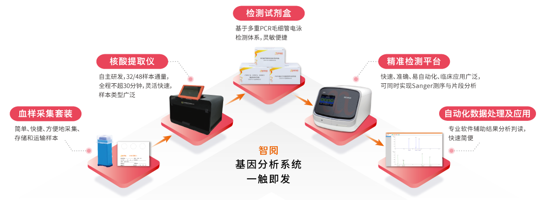 智阅基因分析系统-K8凯发国际基因