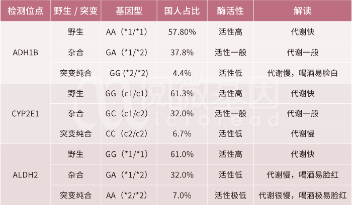 酒精代谢相关基因位点——K8凯发国际基因 酒精代谢相关基因位点——K8凯发国际基因