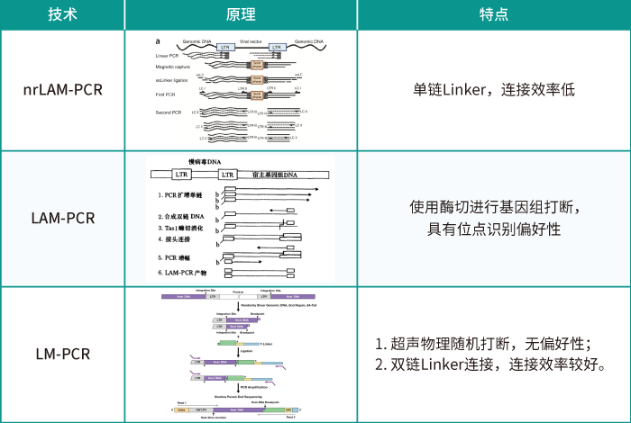 慢病毒随机插入的位点评估方法_K8凯发国际基因_慢病毒插入位点检测