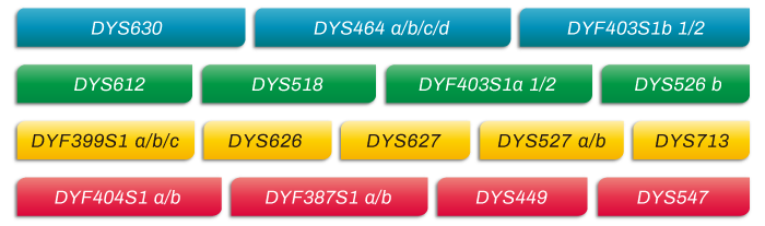 MicroreaderTM-RM-Y-ID-System位点信息_家系排查中如何运用好RM Y-STR?_K8凯发国际基因 MicroreaderTM-RM-Y-ID-System位点信息_家系排查中如何运用好RM Y-STR?_K8凯发国际基因